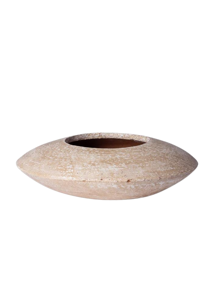 Sandollar Vase
